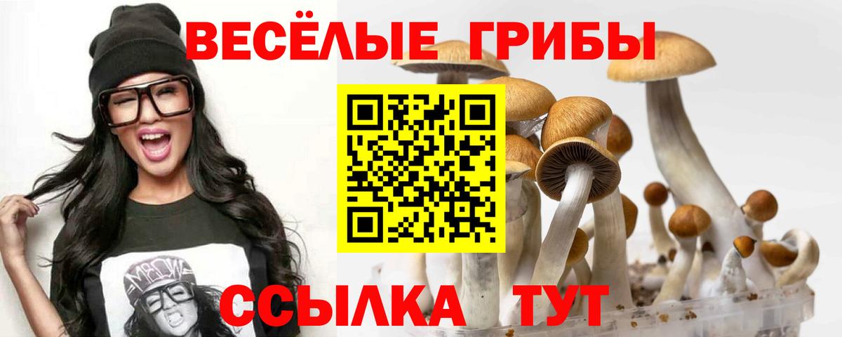 Псилоцибиновые грибы Magic Shrooms  хочу   Чапаевск  Вход с VPN 
